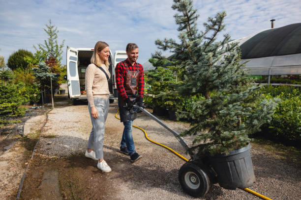 Best Palm Tree Trimming  in Medford, NY